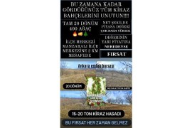 BİLECİK YENİPAZAR DA SATILIK 20 DÖNÜM KİRAZ BAHÇESİ